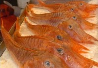 �¼��·��������ǹ��㡱������ع���