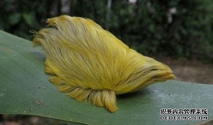 �ȴ�������������µ���Ȼ����