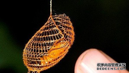 �ȴ�������������µ���Ȼ����