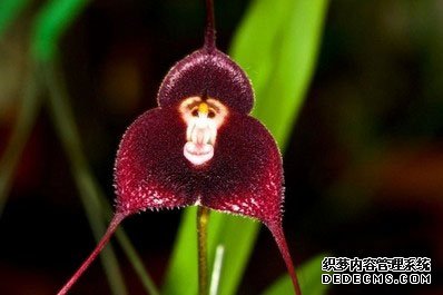 ����С���� һ���쳣���е�����Ʒ��