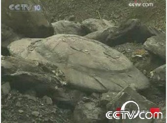 �й����ر��� �޷��ÿ�ѧ�������ı���