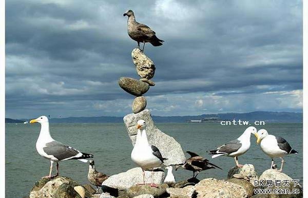 ����֮�գ�ӡ��������˵Ĺ���ʯ�������